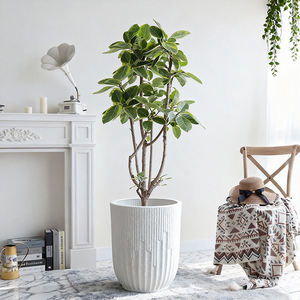 <span class=keywords><strong>Pot</strong></span> de fleurs décoratif Yicai, grand modèle en plastique épais et agrandi pour <span class=keywords><strong>Monstera</strong></span> <span class=keywords><strong>Deliciosa</strong></span> - Product Image 1