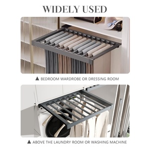 Aluminum Pants Rack with Pull-Out Feature <b>Wardrobe</b> Accessories for Clothing <b>Storage</b> Including Hanger - Product Image 3