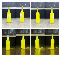 Bouteille gonflable géante transparente en PVC TPU pour vin et boissons, double couche, hermétique, avec éclairage LED, bouteille gonflable publicitaire