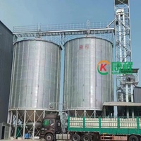 Système d'aération pour silo à riz de 500 à 5000 tonnes, conteneur en acier galvanisé durable, montage facile, garantie 1 an pour l'usine de parboilage des coques de riz