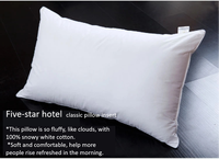 Fournisseur certifié BSCI, collection d'hôtel personnalisée, oreiller de luxe en plumes de canard blanc largement utilisé, 50x50 cm, insert d'oreiller, fabricants de coussins