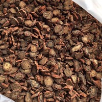 Racine de sauge rouge séchée en tranches, emballage personnalisé OEM pour la vente au détail, épice à base de plantes Dan Shen AD