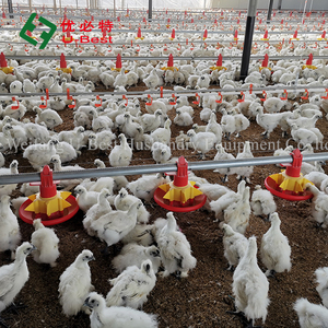 Nueva Caja de Nidificación para <span class=keywords><strong>Gallinas</strong></span> U-Best, Jaula de Recolección de Huevos, para Aves de Corral de Rango Libre, Automática, Inteligente, con Sistema de Rodamiento 1.5 - Product Image 4
