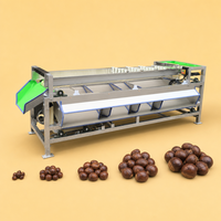 Automatische sorteerder voor uien, bosbessen, dadels, avocado's, mangosteen, fruit en groenten, tomaten sorteerder