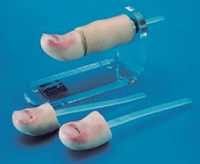 Maniquí de Entrenamiento para Remoción de Uñas ADA BIX-LV6-1 de Alta Calidad y Diseño Sencillo para Enseñanza y Aprendizaje de Anatomía en Escuelas de Medicina