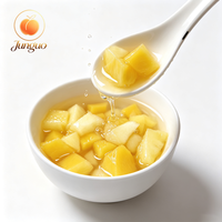 Premium fruitblokjesmix in blik, gemaakt van verse ananas, gele perzik en peerblokjes