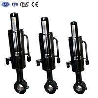 Vérin hydraulique personnalisé avec tube d'amortissement externe, cylindre haute pression noir pour machines de levage