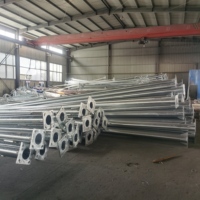 Poste de luz galvanizado personalizado SLOER con brazos dobles o simples de 4m, 5m, 6m, 7m, 8m, 9m, 10m, 11m, 12m para alumbrado público.