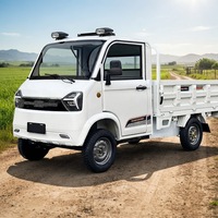 Fourgonnette électrique homologuée COC, capacité 2 personnes, vitesse maximale 25-45 km/h, pour le marché européen, livraison quotidienne