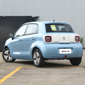 EVカーORAブラックキャット301km 350km 405km高速新エネルギー車中古ミニ電気自動車大人用 - Product Image 5