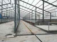 Fermes avicoles préfabriquées, poulailler, hangar pour canards, porcs, vaches, volailles, conception personnalisée de hangar pour porcs, bâtiment agricole, écurie pour chevaux