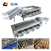 Multifunctionele aardappel- en uiensorteermachine, fruit- en groentesorteermachine, kersensorteermachine, rolgrader