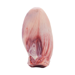 Meat And Bacon Flavored Realistic <b>Pig</b> Ears Durable Chewable Dog <b>Toy</b> Medium Size For Pets - Product Image 3