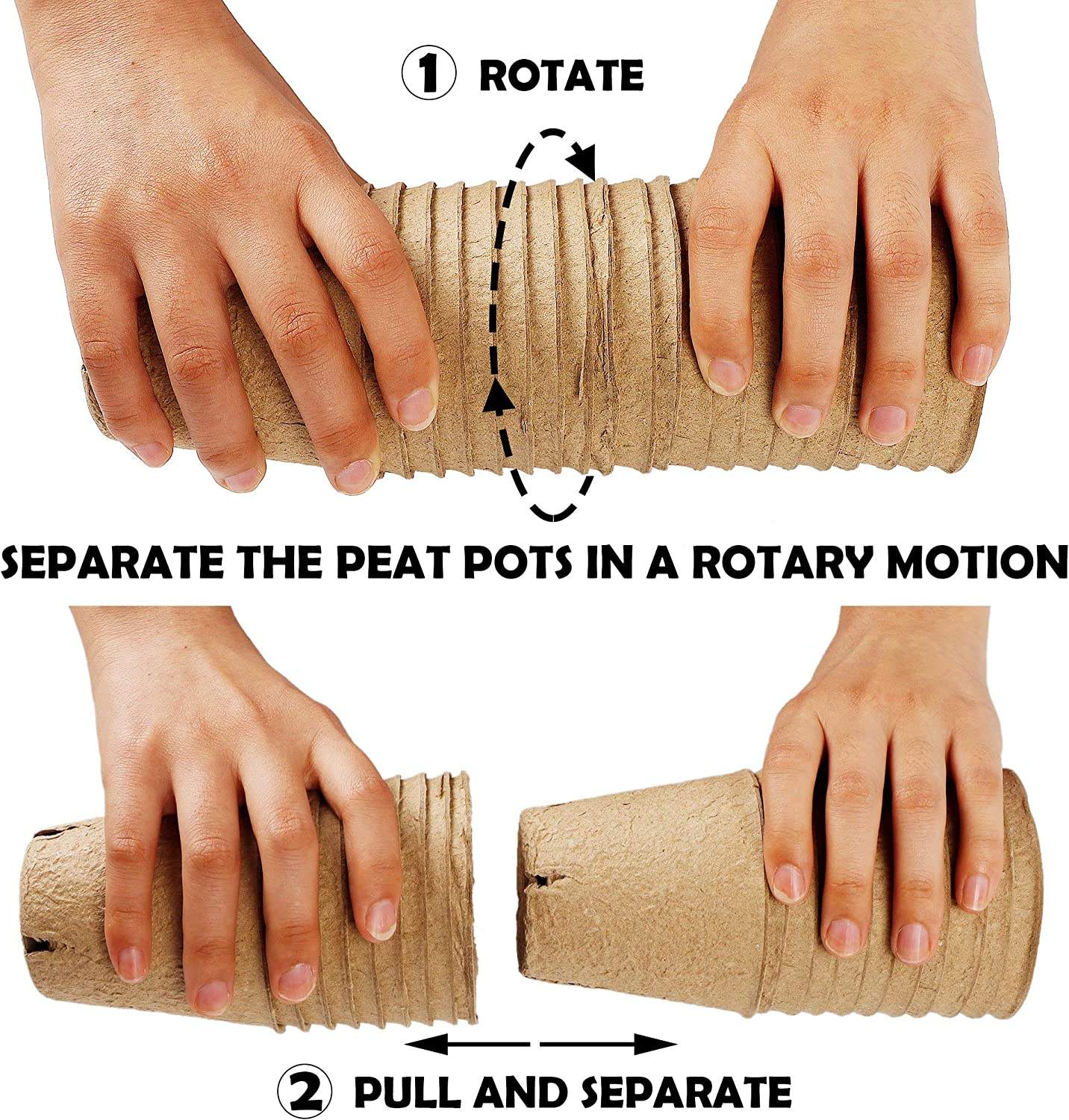 How to Choose Biodegradable Plant Pots: A Complete Buying Guide