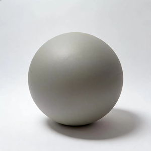 Ensemble de Fitness pour Entraînement à Domicile : Anneau de Tonification, Ballon de Sculpture Corporelle, Bande de Poignet, Haltère, pour Amincissement de la Taille et des Jambes - 2.5 Full B - Product Image 6
