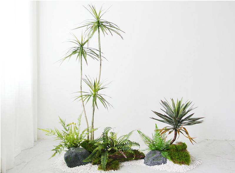 Ensemble glaïeul à trois tiges + agave