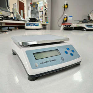 큰 팬 무게 균형 30kg 0.1g 디지털 저울 20kg 30kg - Product Image 5