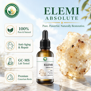 Ingrediente Naturale per la Produzione di Prodotti Skincare: Assoluta di Elemi (Canarium Luzonicum) per Creme e Lozioni <span class=keywords><strong>Viso</strong></span> di Lusso - Product Image 3