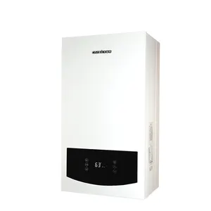 Golden Supplier-calentador de agua de Gas colgante para pared, caldera para electrodomésticos con pantalla Digital de 24 KW