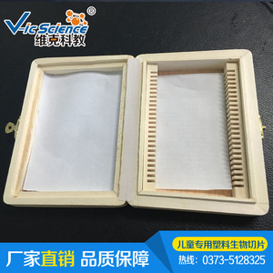 Human skin sections with sweat glands; histology and embryology; animal and plant specimens; teaching equipment; <b>microscope</b> - Product Image 4