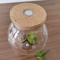 Pot en verre micro-paysage fait à la main couvercle en liège vase de table en gros pour mariages terrarium style art déco pour plantes aériennes
