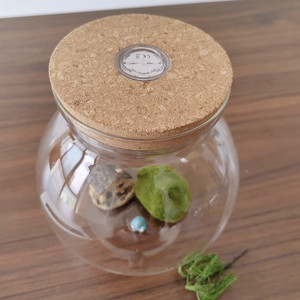 Pot en verre micro-paysage fait à la main couvercle en liège vase de table en gros pour mariages terrarium style art déco pour plantes aériennes - Product Image 6