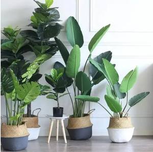 Decoración <span class=keywords><strong>Interior</strong></span> Real Touch Ornamental Plantas artificiales Plantas verdes Arbusto Planta de bonsái artificial Plátano Palmera - Product Image 6