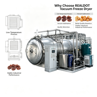 Commerciële vacuümvriesdroger REALDOT, voedsel-lyofilisator voor fruit, groenten, vlees en dierenvoer, grote capaciteit vriesdroogmachine