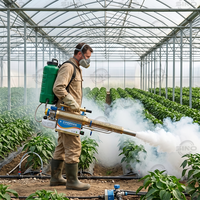 Machine à brouillard portative en promotion, pulvérisateur agricole, petit brumisateur