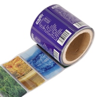 Etiquetas Autoadhesivas de PVC Impermeable con Impresión Flexográfica para Decoración de Botellas de Agua Mineral