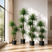 Dracaena marginata artificielle 120-210 cm, arbre du dragon multi-troncs en pot pour la décoration intérieure et extérieure, maison, bureau