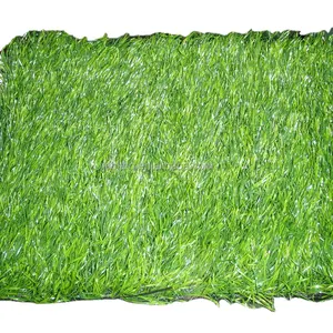 Guangzhou landscaping grass for football garden soccer ball