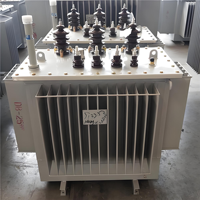 Transformateur triphasé immergé dans l'huile, moyenne/haute tension, refroidissement ONAN standard, 50/60 Hz, pour centre commercial ou usine