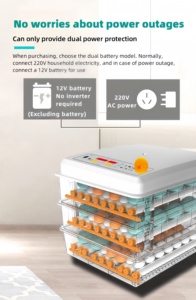 Nhà máy cung cấp trực tiếp gà hoàn toàn tự động nở giáo phần 120 lồng ấp trứng - Product Image 3