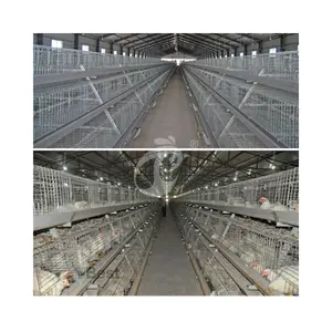 Système de cage à poulets de chair de type A ou H pour ferme avicole du Nigeria, de la Zambie, du Ghana et du Soudan