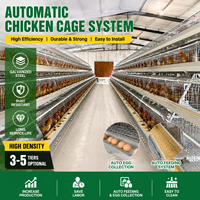 Cage à poules automatique commerciale pour élevage avicole, équipement de ferme, cage à batterie métallique pour 96/120/160 oiseaux
