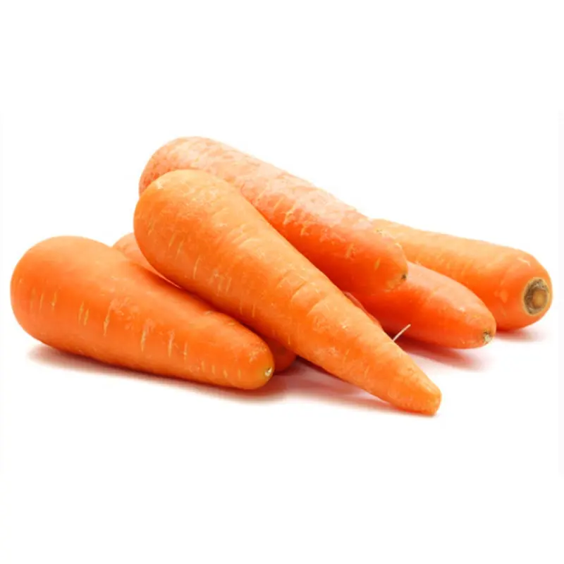 2021 vendita calda della cina fabbricazione S M L fresco carota