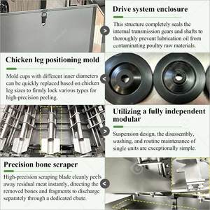 Máquina automática deshuesadora de carne para cuello de pollo, muslos, patas y alas de aves de corral - Product Image 4