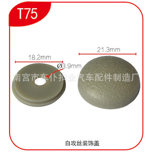 Capuchon décoratif en plastique pour vis autotaraudeuse Smooth Sailing T75, 21,3 mm, pour fixation automobile intérieure - Product Image 1
