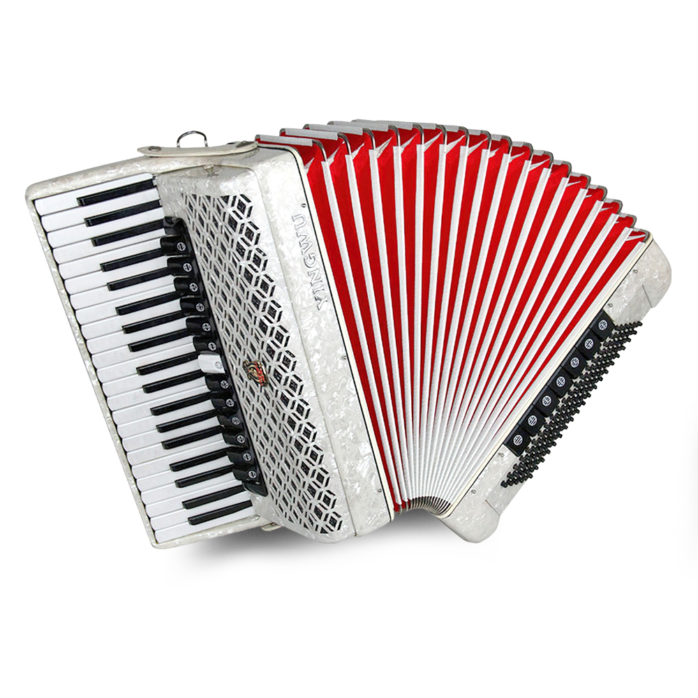 Parrot 41 Keys Diatonic Accordion - Professional Instrument