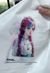 Acaleph 891s-i Pod túi máy in cho in trên nhu cầu không dệt túi poly túi xách và Takeaway nhiệt bao bì - Product Image 4