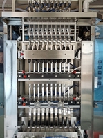 Máquina envasadora de líquidos de sellado de lado trasero, para zumo de fruta, leche condensada, etc., con personalización disponible, por la parte posterior de la máquina de envasado de líquidos, por la parte posterior de la.