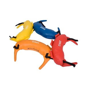 Phòng tập thể dục sức mạnh đào tạo Bulgarian Quyền Hạn túi với PVC cao cấp Túi điện cho hiệu quả Đào Tạo - Product Image 3