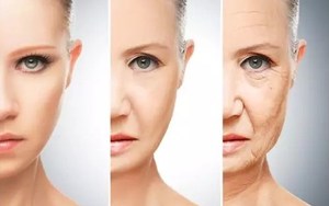 Чистый экстракт кожи рыбы гидролизованный коллаген пептид морской рыбы кожа мелкий морской коллаген - Product Image 5