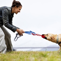 Jouet de traction pour chien en toile Squeaky Shark avec balle en sisal, résistant à l'usure, interactif, pour chiens de petite et moyenne taille