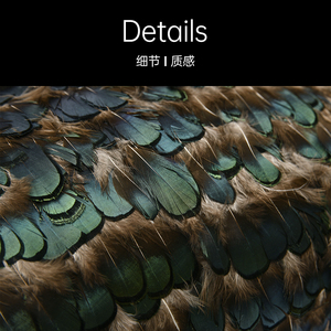 AIBUZHIJIA Dekoratif Yastıklar Ev Dekorasyonu Minder Kılıfı Kanepe Minderi Lüks Yüksek Kaliteli Yastık Kılıfı Oturma Odası için Dekoratif Yastık Kılıfı - Product Image 6