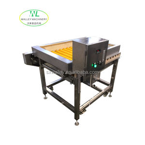 Máquina Automática de Lavado de Cepillos MXJ, <span class=keywords><strong>Precio</strong></span> de Fábrica, para Limpiar Soja/Hortalizas de Hoja/Manzanas/<span class=keywords><strong>Pulpo</strong></span>, Cepillo Extraíble - Product Image 4