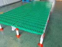 Plancher de construction de maison de chèvre 600x600mm à lamelles en plastique pour élevage de chèvre