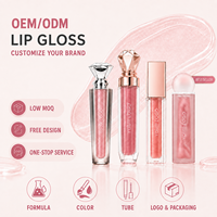 Vente en gros de rouge à lèvres effet miroir à marque privée, non-transfert, aspect naturel, gloss à lèvres personnalisé pour un usage quotidien