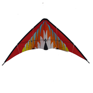 Kite Names in India: Traditional & Festive Designs